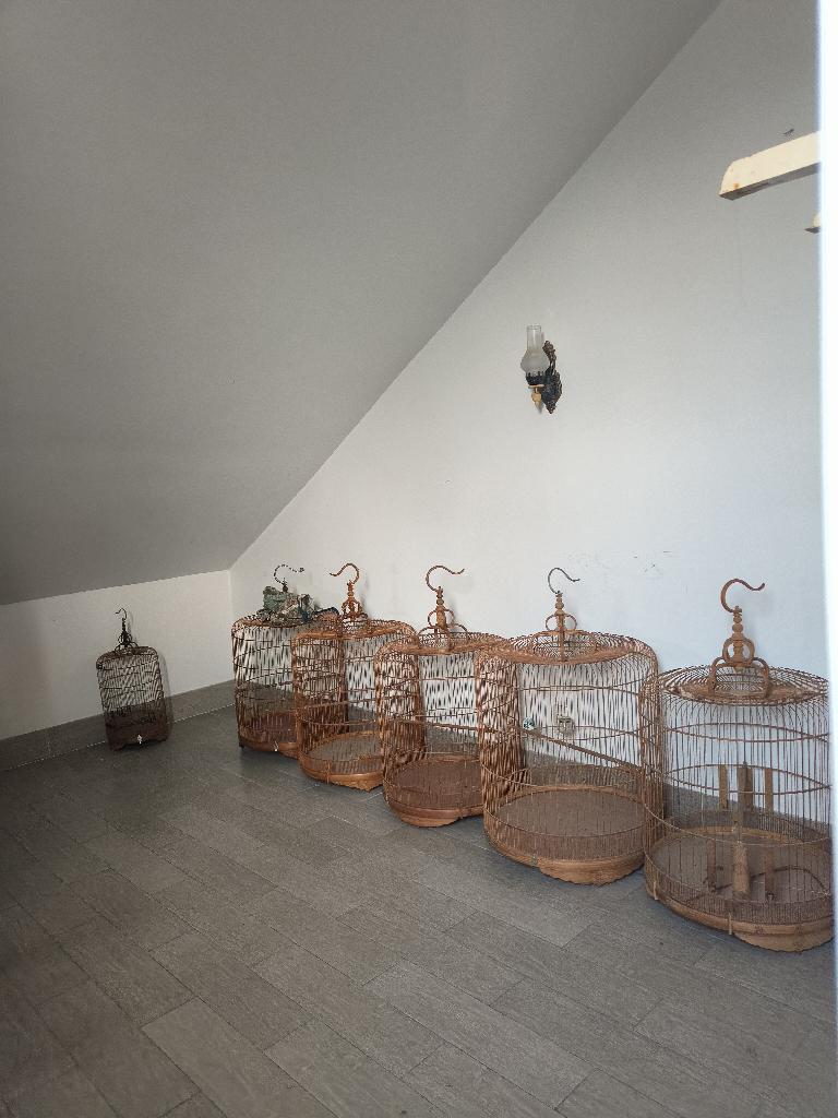 Bán biệt thự có hồ bơi khu dân cư Nam Long, P. PLB, Tp Thủ Đức