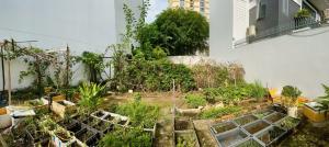 Bán đất nền dự án KDC Phú Nhuận 10 mẫu, dt 206m2