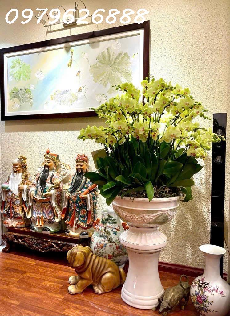 NHÀ PHỐ HOÀNG QUỐC VIỆT. FULL NỘI THẤT CAO CẤP, THANG MÁY,  Ô TÔ VÀO NHÀ. CHỈ VIỆC XÁCH VALI VỀ Ở