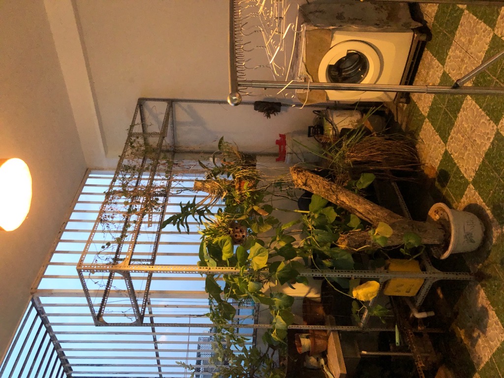 Gần Quang Trung, 4,5x13m,  4 tầng, hẻm oto, Gò Vấp, 7 tỷ