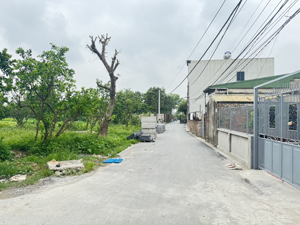 Bán đất