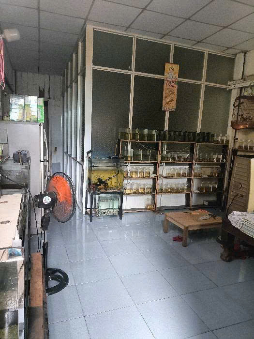BÁN NHÀ HXH- NGUYỄN DUY TRINH- LONG TRƯỜNG 65M2 GIÁ 4 TỶ