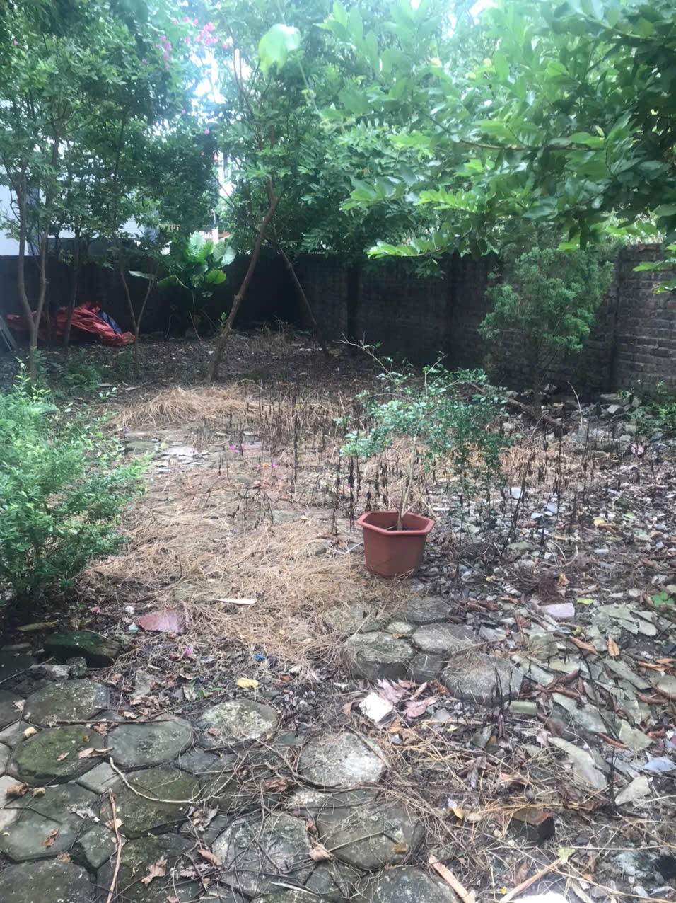 Chính chủ cần bán mảnh đất ở Gia Lâm diện tích 68m2, mặt tiền5m.