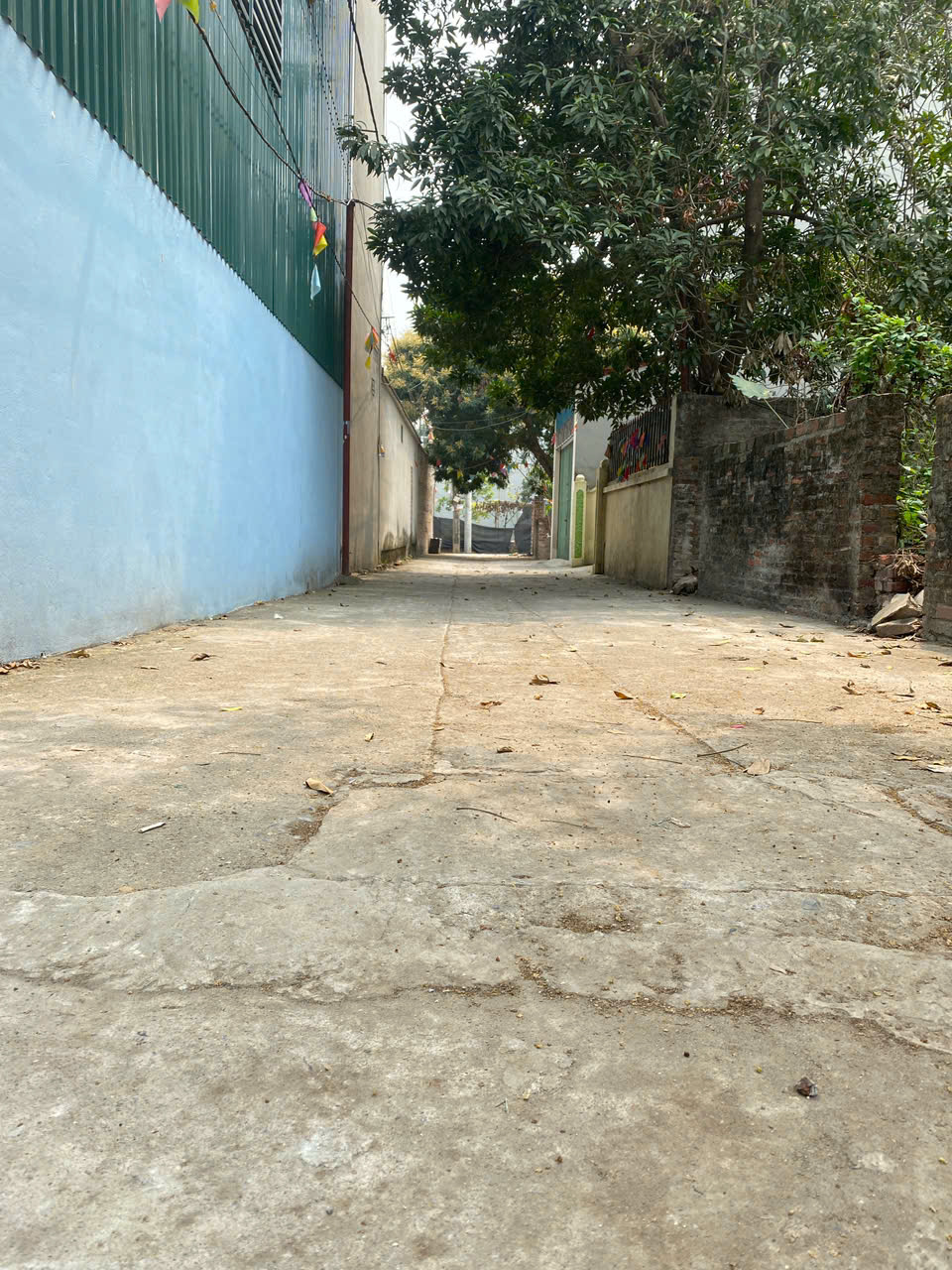 BÁN NHANH LÔ ĐẤT TIỀM NĂNG TẠI BẮC HỒNG, ĐÔNG ANH, HÀ NỘI. FULL THỔ, Ô TÔ THÔNG. TIỀM NĂNG