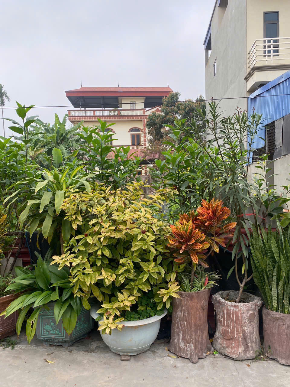 SIÊU PHẨM LẠC NÔNG, MAI ĐÌNH, SÓC SƠN. TRUNG TÂM 3 KCN LỚN, ĐƯỜNG THÔNG. VÙNG LÕI TP VỆ TINH