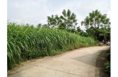 Chính chủ gửi bán đất vân hòa - ba vì - hà nội, ô tô đỗ cửa .