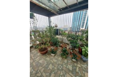 Mảnh đất duy nhất view Hồ Tây cực đẹp nhỉnh 60 tỷ
