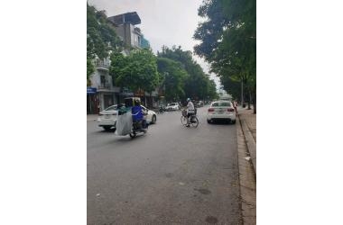 Bán nhà thang máy ô tô ngõ 6 Mạc Thái Tổ 50m2 x 7 tầng mt 4.5m 15.5 tỷ Cầu Giấy ở vp, kd