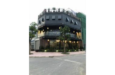Phúc Lợi, Long Biên - Đất đấu giá - Ô tô tránh, đường 21m - 88.8m2 - Lô góc