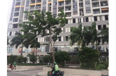 Khách Sạn 4 Sao Mặt Tiền Lê Thánh Tôn Q.1, 12 tầng 70 phòng 449 tỷ