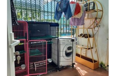 GIẢM 1 TỶ-QUANG TRUNG, GÒ VẤP-82m2-CÒN 5.5 TỶ