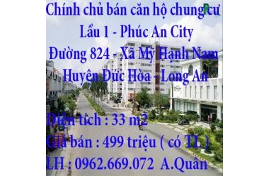 Chính chủ bán căn hộ chung cư Lầu 1 Phúc An City Huyện Đức Hòa, Long An