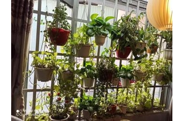 Gấp Bán Nhà Nguyễn Văn Trỗi, Hẻm Xe Hơi Tránh, Phường 10, Phú Nhuận, 5 lầu, 30m2, Chỉ 4.7 Tỷ TL