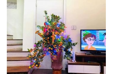 BÁN NHÀ ĐẸP VÕ THỊ SÁU - CHỈ 3.55 TỶ – LÔ GÓC -2 THOÁNG – 40M2 TẶNG FULL NỘI THẤT