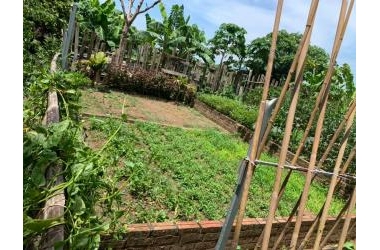 MẢNH ĐẤT ĐẸP ĐỂ XÂY CĂN NHÀ MƠ ƯỚC – NGÔ GIA TỰ – NGÕ Ô TÔ - LÔ GÓC - 40M – MT 4M – NHỈNH 2 TỶ