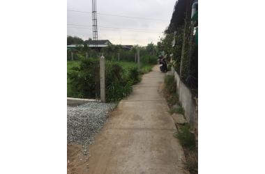 CẦN BÁN ĐẤT TÂN LÝ TÂY, CHÂU THÀNH, TIỀN GIANG