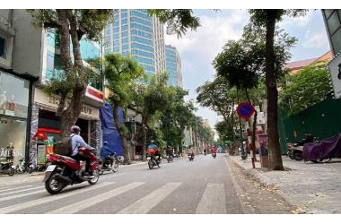 Siêu Hiếm Hai Bà Trưng Mặt Phố Bà Triệu 300m2, mt 8.5m, 200 tỷ