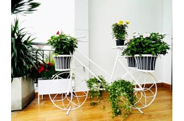 Mặt Phố Cổ Bùi Thị Xuân Giá Rẻ Bất Ngờ 435mx12T, mt 15m, 255 tỷ