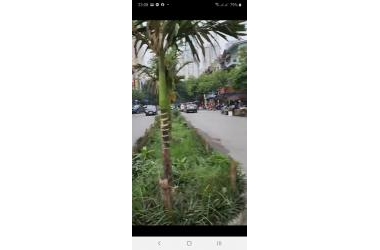 Bán ngà Mặt phố Xa La Hà Đông,ô tô vào nhà, kinh doanh, vỉa hè, phân lô 50m,giá 8.3 tỷ