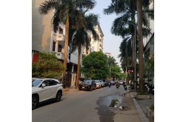 SIÊU SIÊU ĐỈNH TRẦN THÁI TÔNG- CẦU GIẤY - GIÁ 55 TỶ