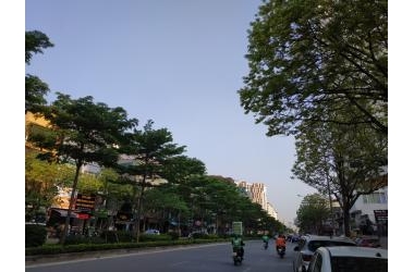 Bán nhà Trần Thái Tông, 125m2, 9 tầng, 1,5 tỷ/năm, T.Máy, Văn phòng, Cầu Giấy, 58 tỷ