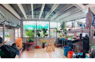 Bán nhà Hoàng Văn Thái GARA Ô TÔ KINH DOANH 0903409888