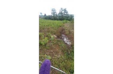 Cần bán gấp đất chính chủ tại Lâm Đồng
