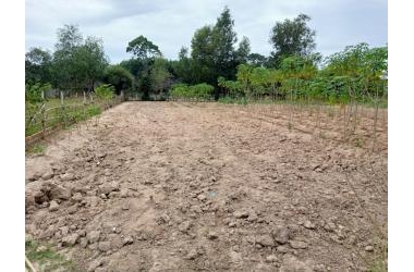 Cần Bán Đất Vị Trí Đẹp Giá Rẻ Tại Xã Phước An- Đông Nai