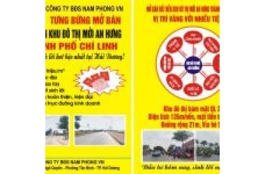 Bán gấp hai lô đất nền giá siêu rẻ vị trí đẹp tại Hải Dương.