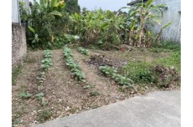 Bán gấp lô đất xây biệt thự tại phường Lam Hạ, TP.Phủ Lý, tỉnh Hà Nam