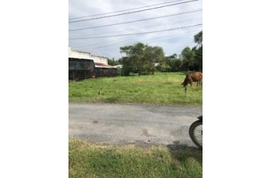 Cần Bán Lô Đất Vị Trí Đẹp Tại Huyện Củ Chi