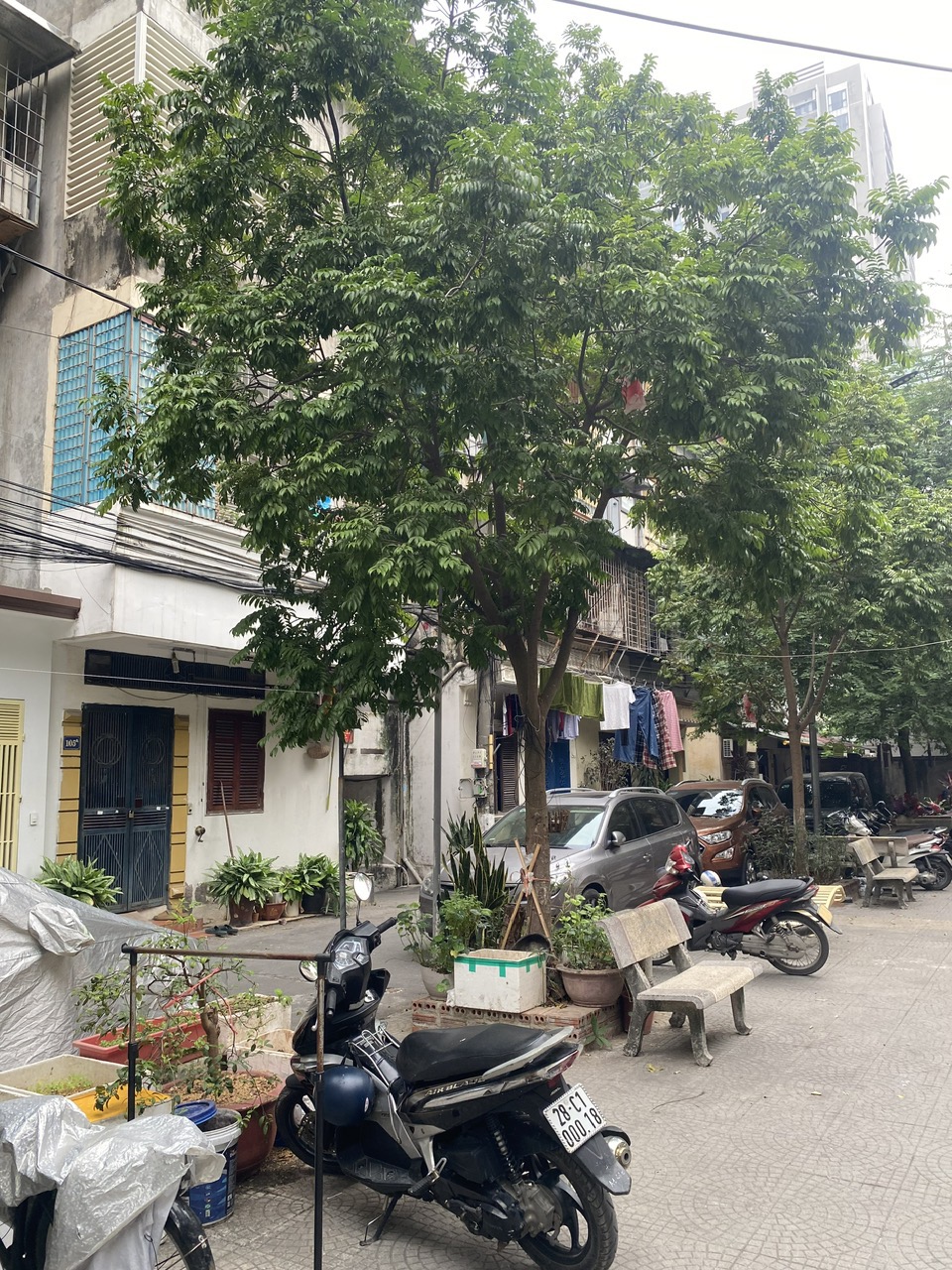 Bán căn hộ tập thể Thượng Đình, đối diện Joyal City, 3PN, 2WC, ô tô đỗ cửa, nội thất đẹp