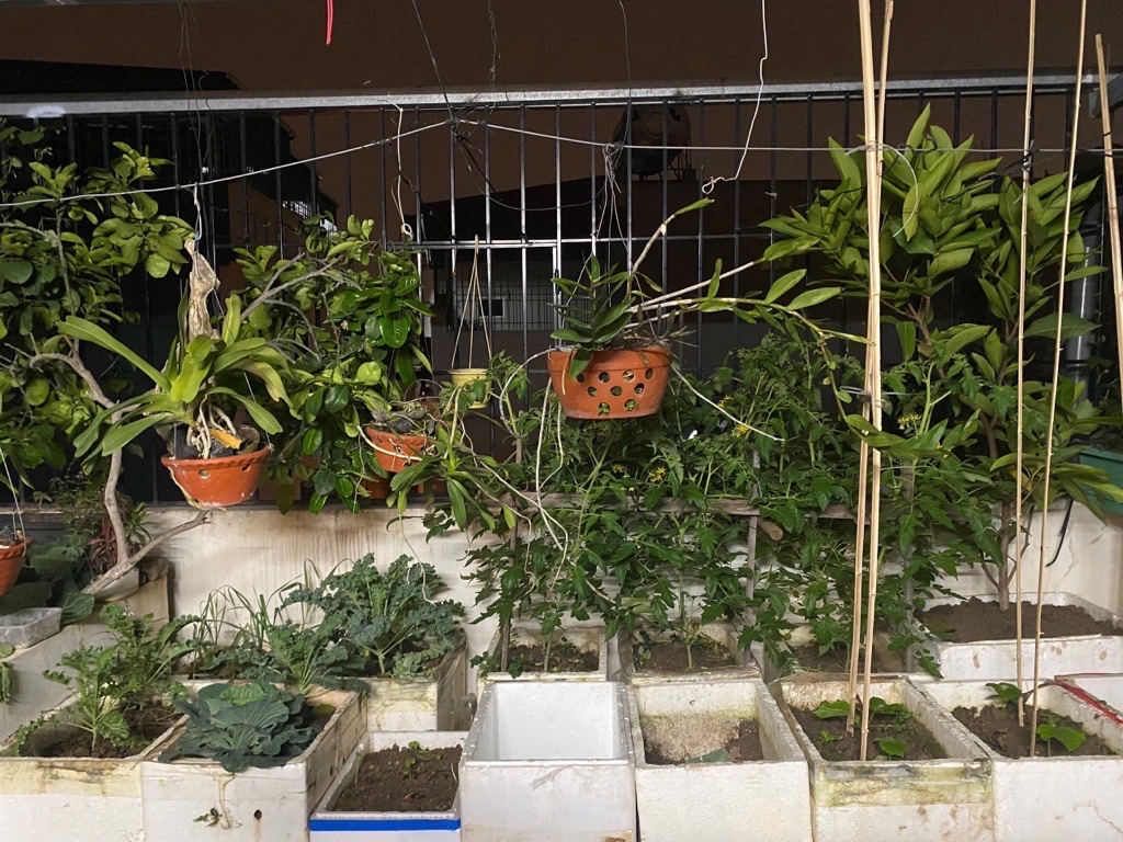 Bán nhà Chính Kinh, giáp đường Nguyễn Trãi, vài bước lên tầu điện, 32m2, 5 tầng