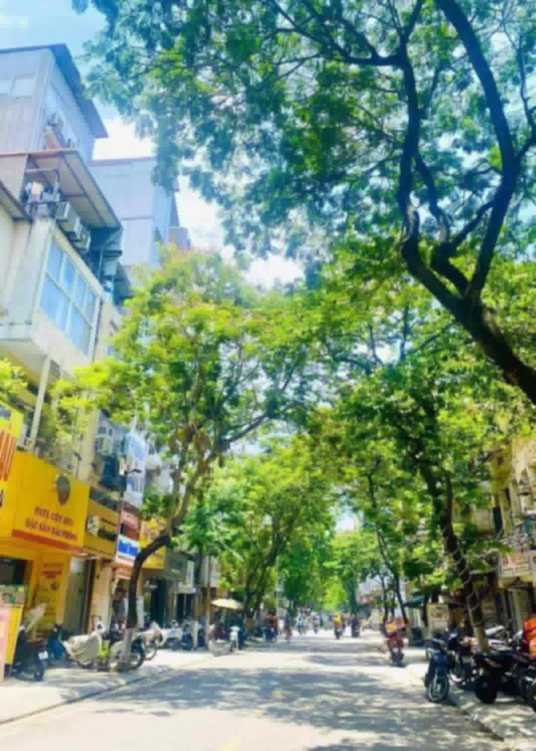 MẢNH ĐẤT VÀNG ĐỘI CẤN TT BA ĐÌNH SÓT LẠI 75M , MT 5M 15,75TỶ