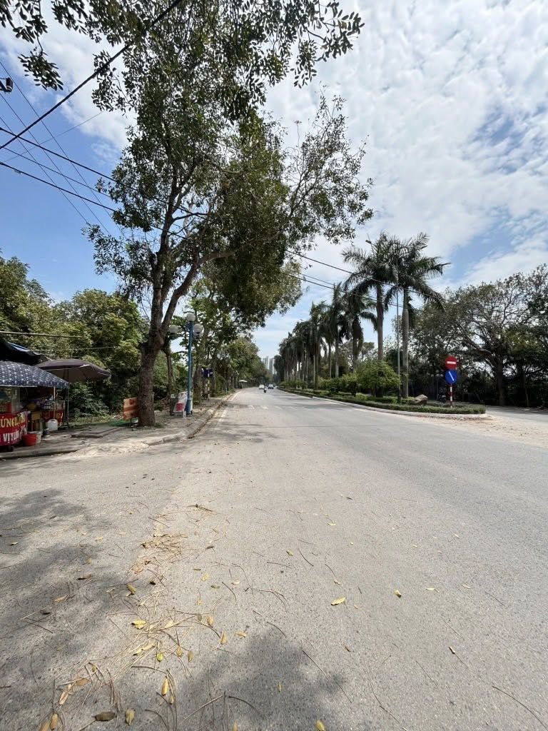 Bán đất Đa Tốn 58m Mặt tiền 4,6m Lô góc - Ôto - Giá 4,7tỷ