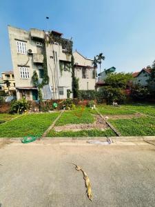 Bán đất Đa Tốn 41m Mặt Tiền 3.8m Giá 3,45tỷ