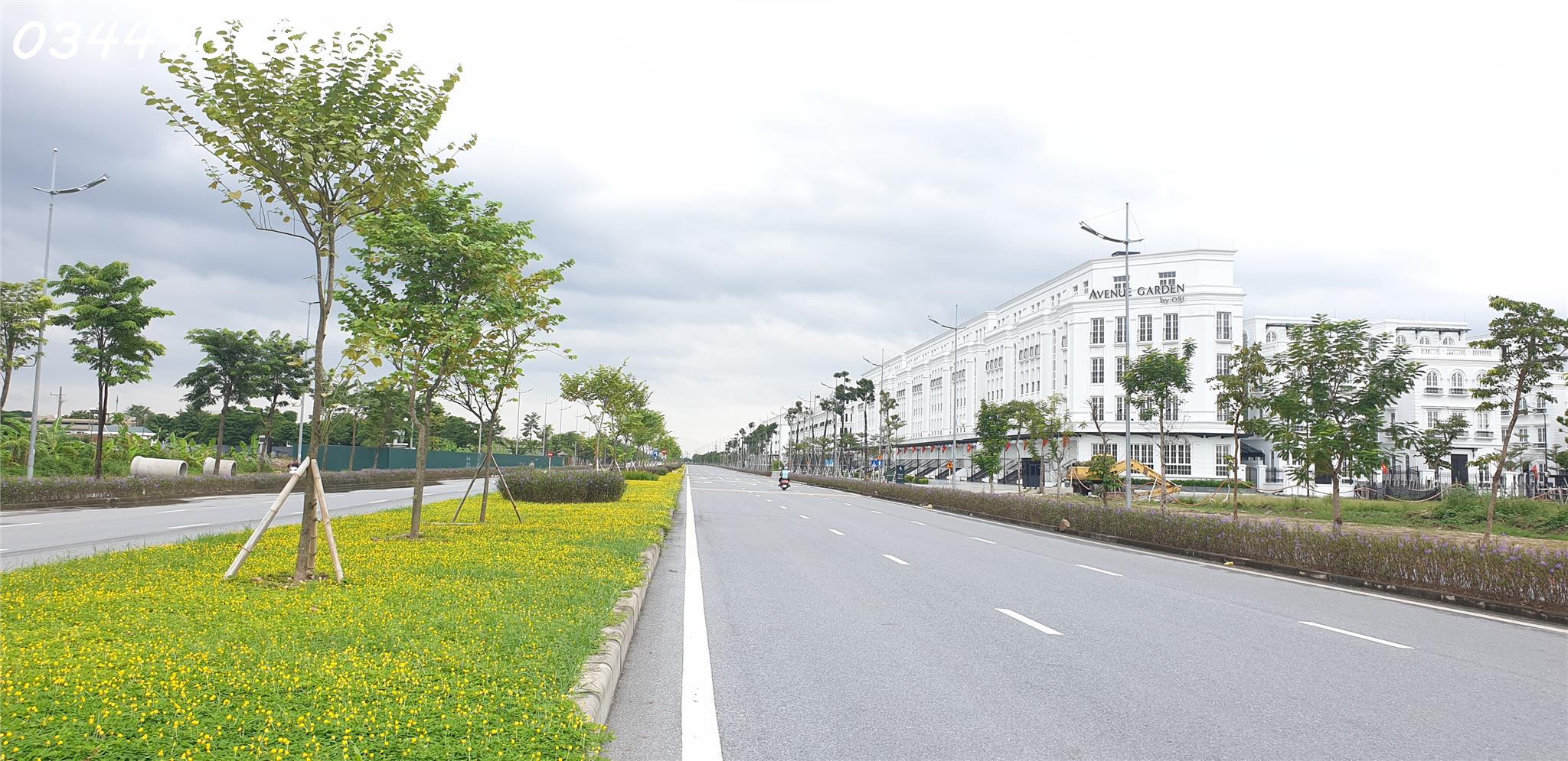 BÁN ĐẤT MẠC XÁ LIÊN MẠC, BẮC TỪ LIÊM Lô Góc 155M2 GIÁ RẺ NHẤT KHU CHIA ĐƯỢC 3 LÔ