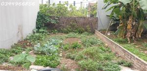 Đất đẹp Tân Lập gần Vinhome Đan Phượng 61m2 Ô tô 16 chỗ qua hơn 6 tỷ.