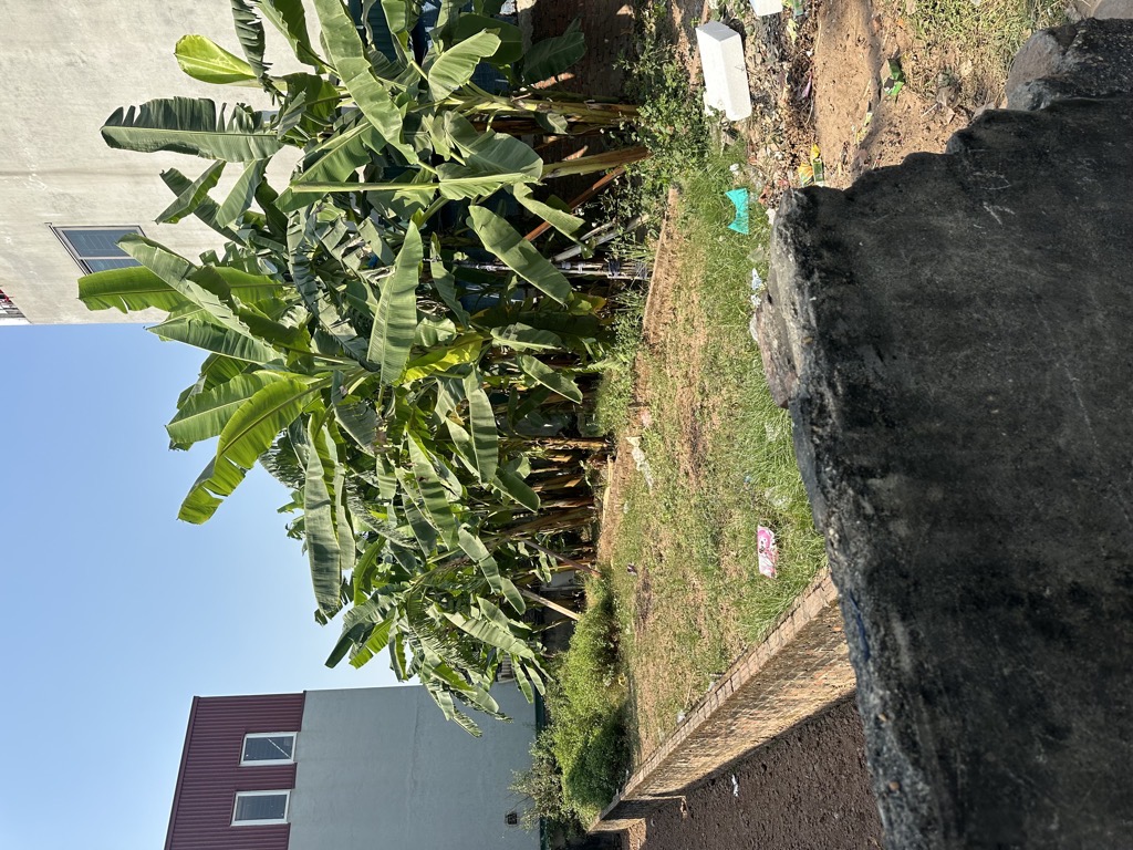 Bán đất vân côn hoài đức, 89m2. 5,19 tỉ