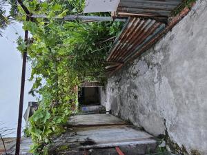 Bán đất hữu hưng tây mỗ, tặng nhà, 60m2. 1,8 tỉ