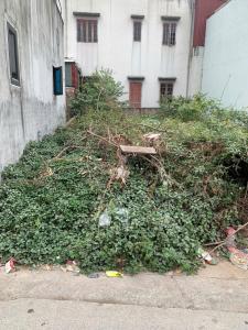 TÀI CHÍNH HƠN 3 TỶ NHẬP KHẨU ĐÔNG ANH, HÀ NỘI