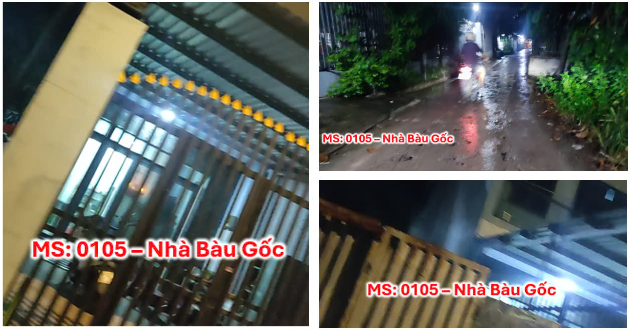 Bán nhà Tân Kiên Bình Chánh đường dẫn ra Dương Đình Cúc