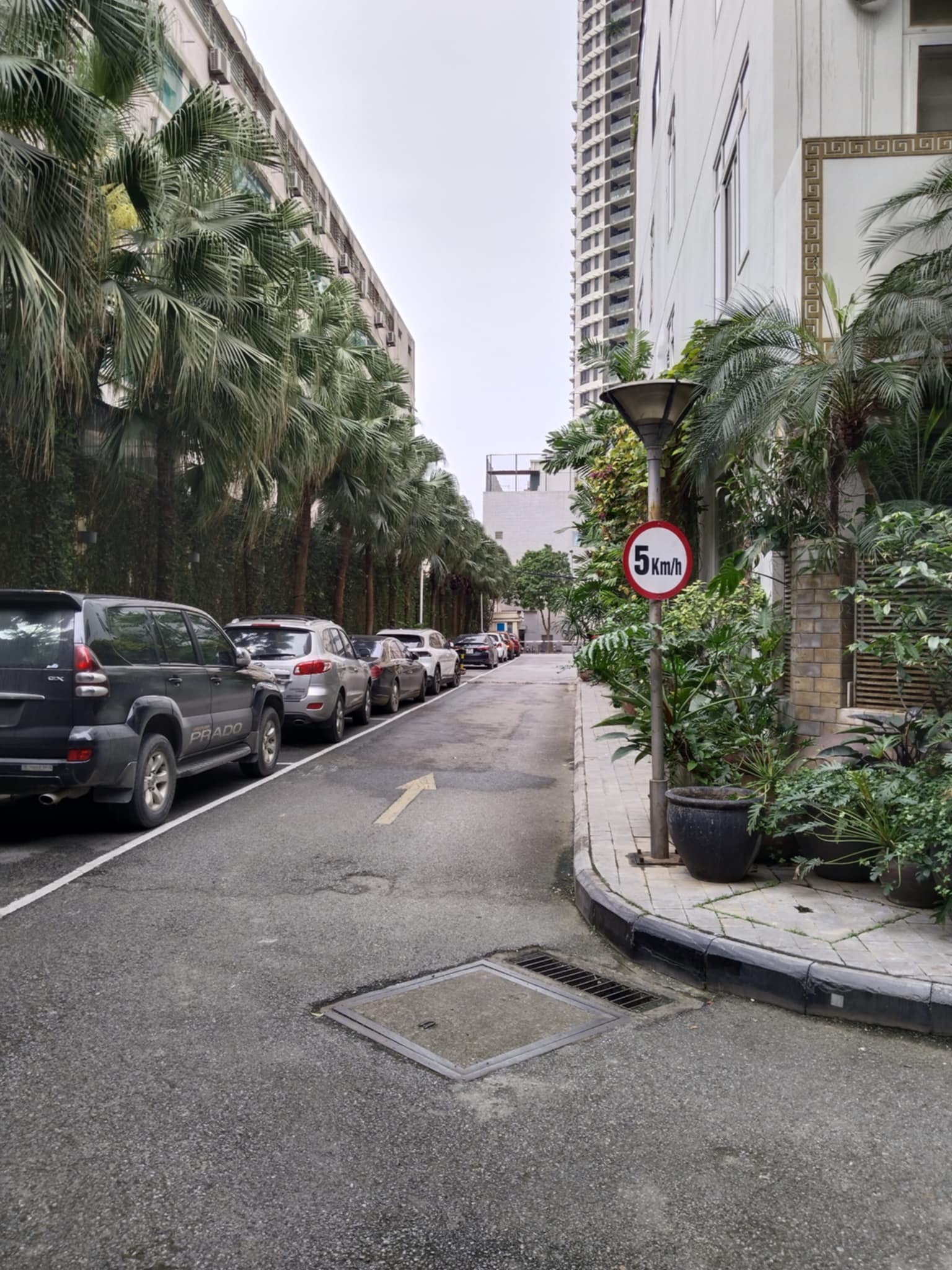 SIÊU PHẨM LIỀN KỀ XUÂN THỦY, CẦU GIẤY, 85M x 5T – MT 6M – VỈA HÈ, Ô TÔ TRÁNH, KD ĐỈNH,32TỶ