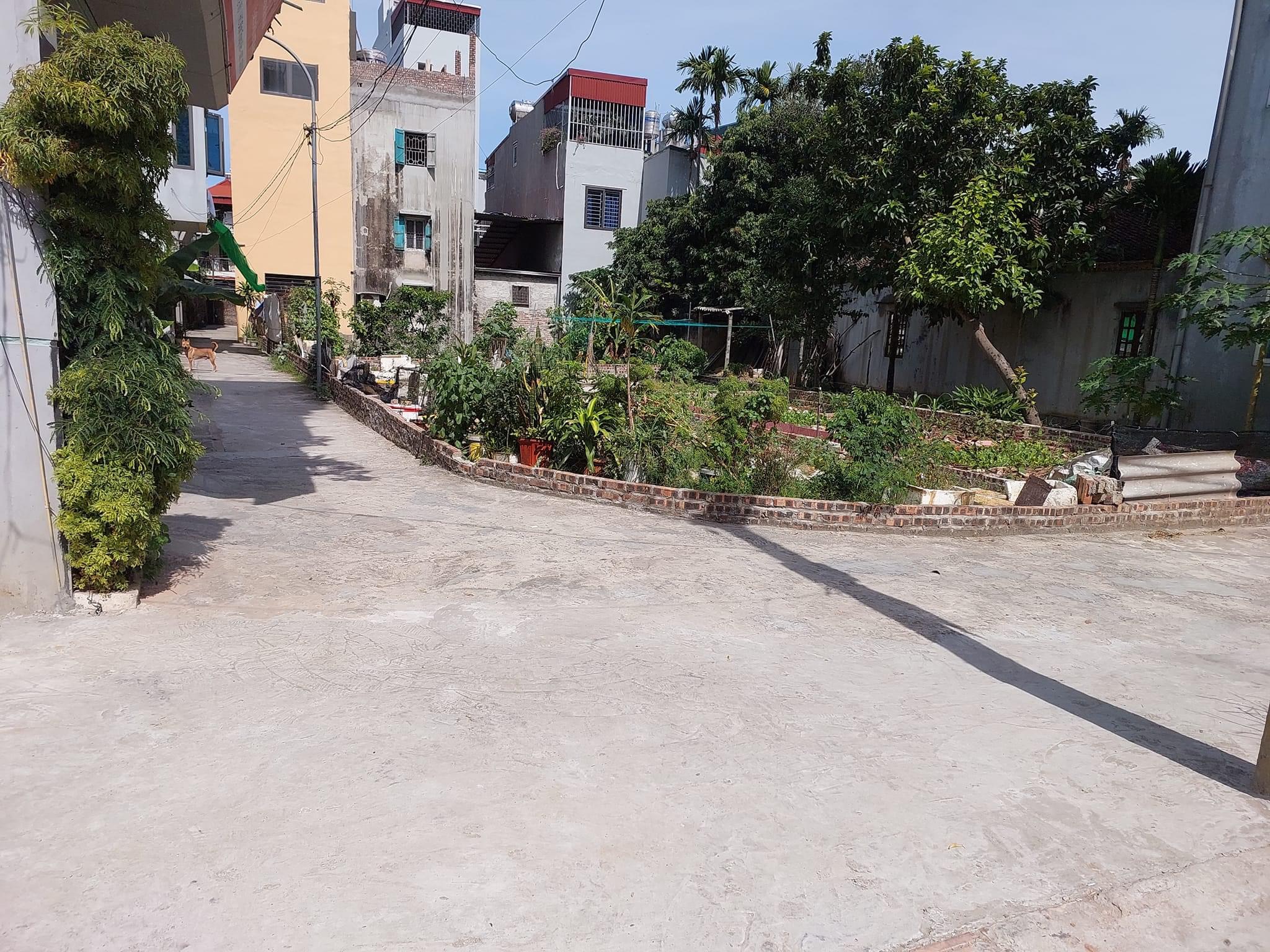 Bán nhà VONG LA ĐÔNG ANH