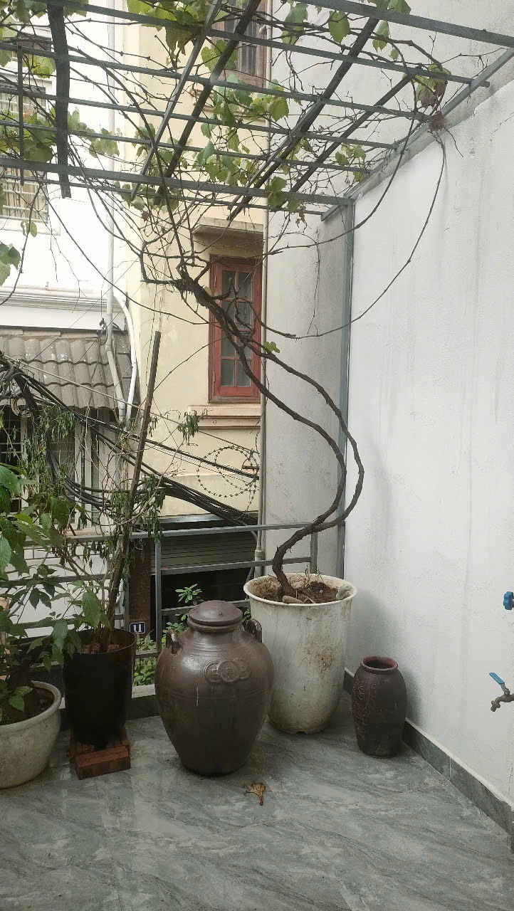 Chính chủ muốn bán nhà 50 m2 đường Âu Cơ Quận Tây Hồ Hà Nội  Nhà ngõ Ôtô