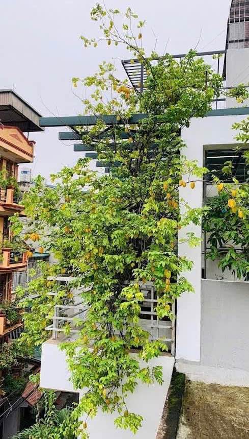 NHÀ ĐẸP HOÀNG HOA THÁM - 62M² - 5 TẦNG - Mặt Tiền Quyền Lực 7m 15.5 TỶ- Sau QH Ra Mặt Phố - 15m ra Ô TÔ