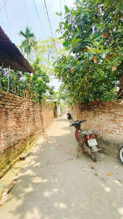 BÁN ĐẤT VẠN PHÚC, THANH TRÌ-  SỔ ĐỎ, CHỦ THIỆN CHÍ MUỐN BÁN