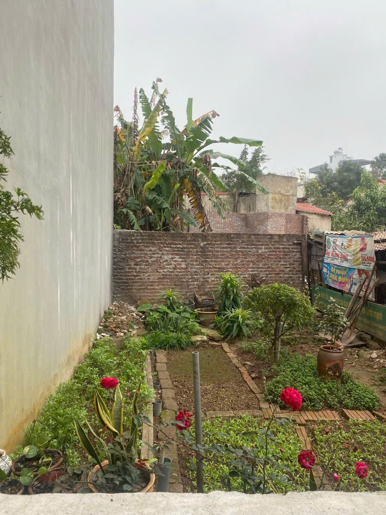 Bán đất Ngũ Hiệp, Thanh Trì, Hoàng Mai, Siêu rẻ, 40m2, 4.2 tỷ