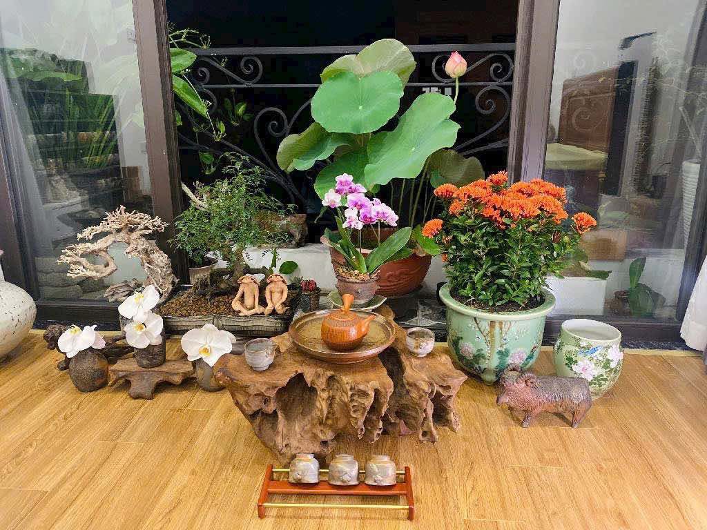 Nghệ thuật nằm hết trong ngôi nhà này