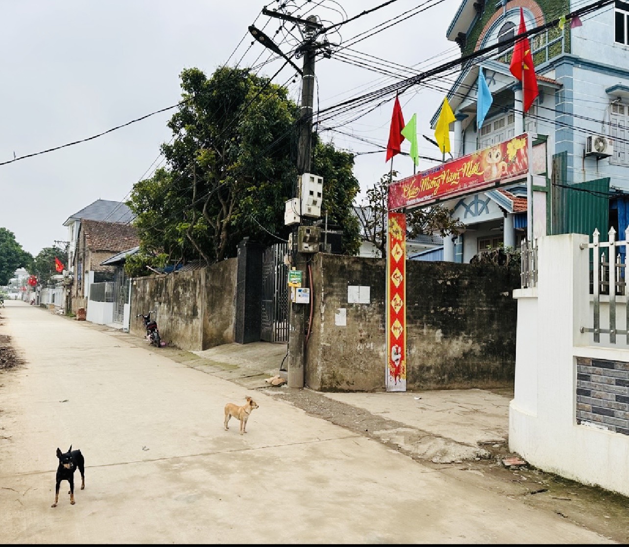 MẢNH ĐẤT VUÔNG VẮN – NỞ HẬU – VỊ TRÍ “KIM CƯƠNG” GIỮA TRÁNG VIỆT, MÊ LINH